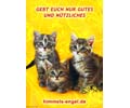 GEBT EUCH NUR GUTES UND N�TZLICHES
