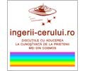 Logo der Webseite ingerii-cerului.ro